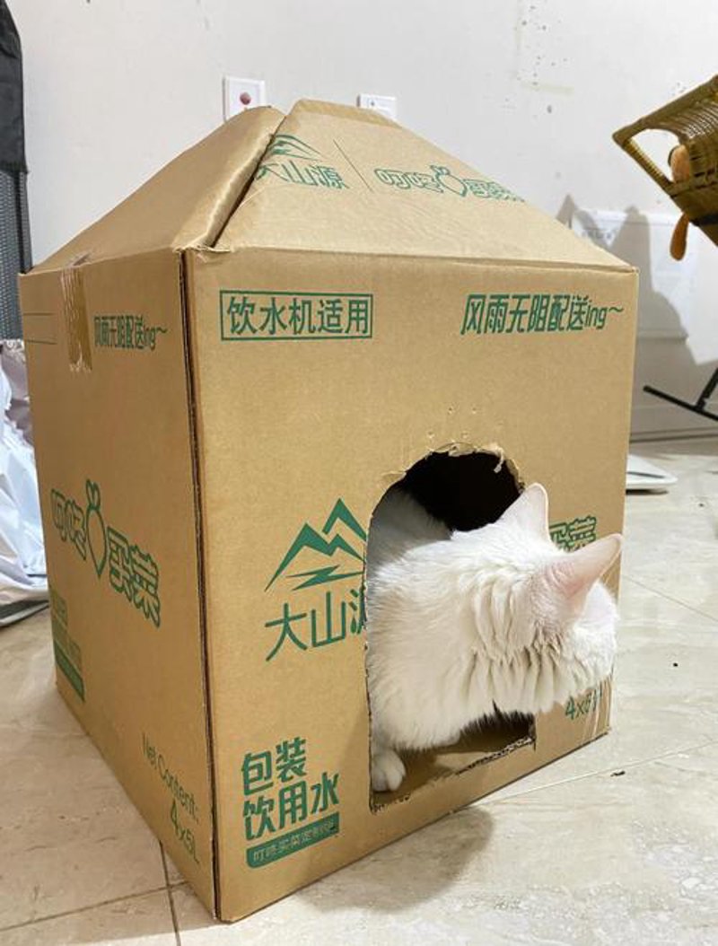 吉林纸箱厂：选择与品质同行的伙伴