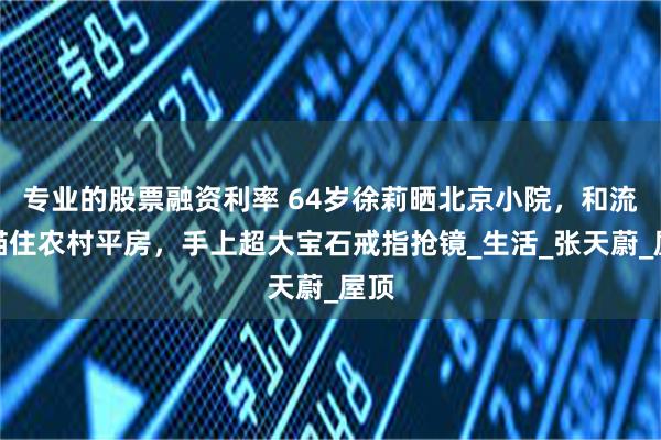专业的股票融资利率 64岁徐莉晒北京小院，和流浪猫住农村平房，手上超大宝石戒指抢镜_生活_张天蔚_屋顶