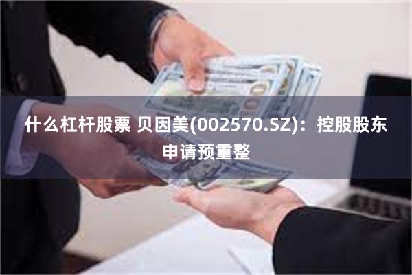 什么杠杆股票 贝因美(002570.SZ)：控股股东申请预重整