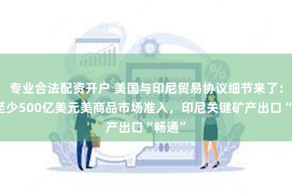 专业合法配资开户 美国与印尼贸易协议细节来了：新增至少500亿美元美商品市场准入，印尼关键矿产出口“畅通”