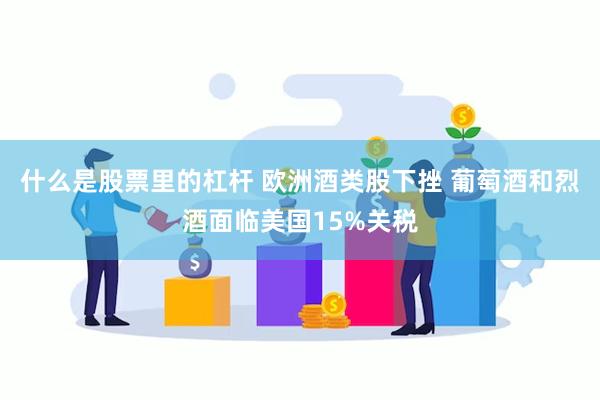 什么是股票里的杠杆 欧洲酒类股下挫 葡萄酒和烈酒面临美国15%关税