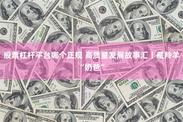 股票杠杆平台哪个正规 高质量发展故事汇丨藏羚羊“奶爸”
