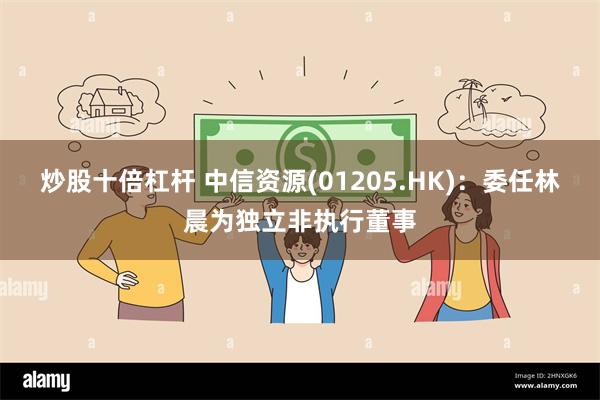 炒股十倍杠杆 中信资源(01205.HK)：委任林晨为独立非执行董事